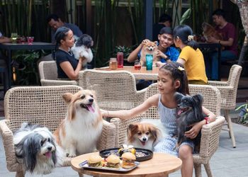 Home-Cooked Food Awaits at Denpasar’s New, Pet-Friendly Double Bee Café and Resto