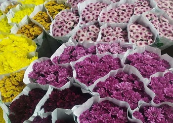 Rawa Belong Flower Market: Southeast Asia’s Largest Wholesale Flower Market