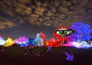 Perth Festival Gears Up for Another Thrilling Installment of Spectacular Art Experiences