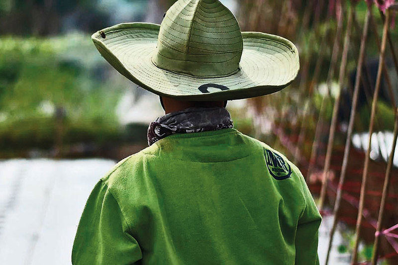 Project Review on the Learning Farm 2019 – 2020