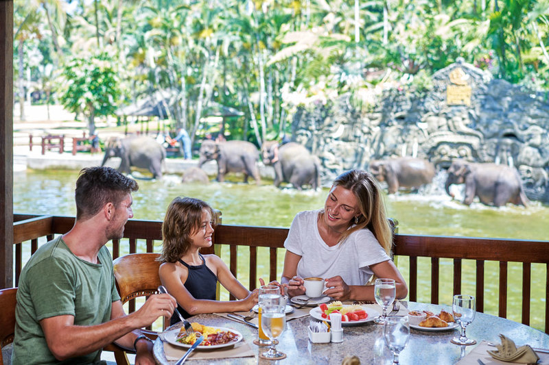 Elephant Lodge In Bali? Is That Really A Good Idea?