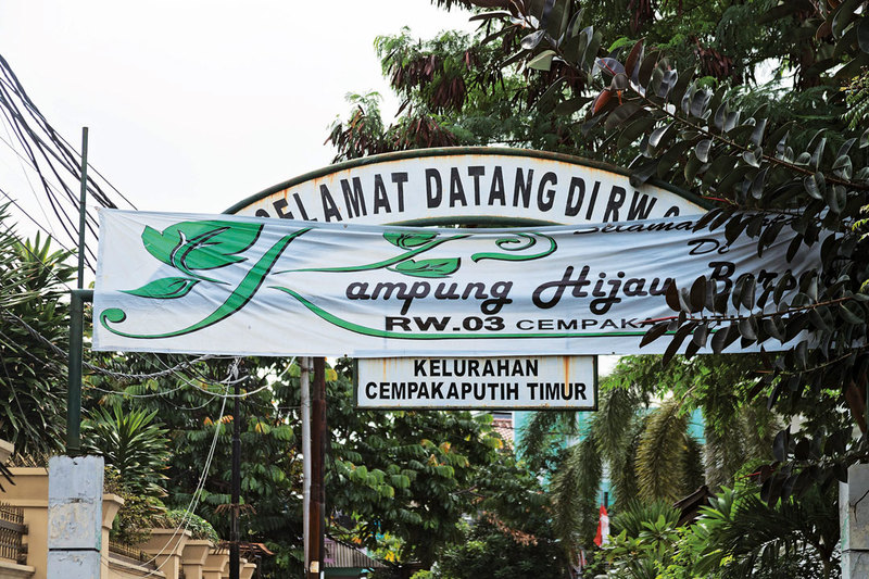 Urban Farming and Green Alley Pilot Program: The Next Big Green for Jakarta