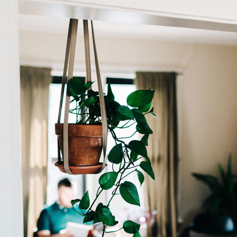 It’s the Perfect Time to Start Gardening and Create Green Space in Our Homes