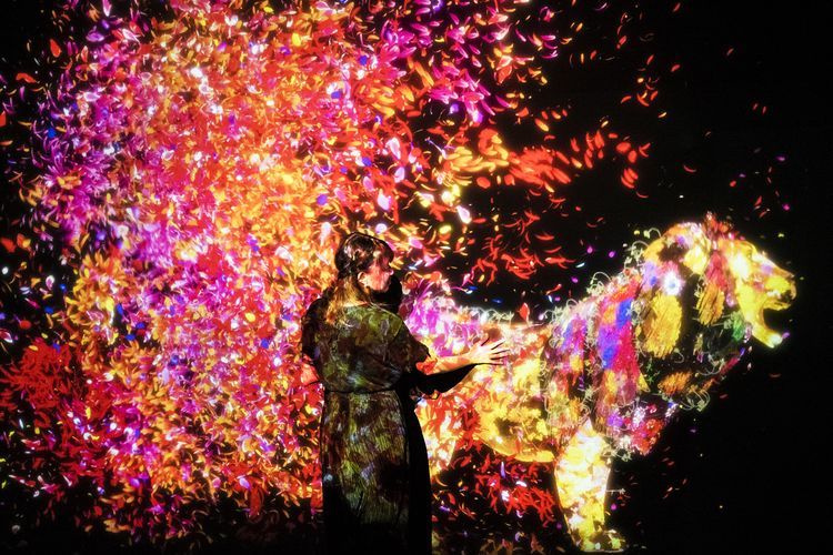 Poster of teamLab Future Park