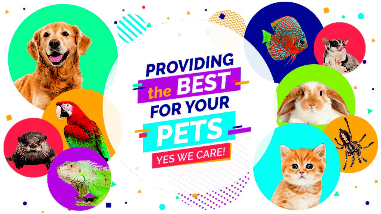 Indonesia Pet Expo | NOW! JAKARTA