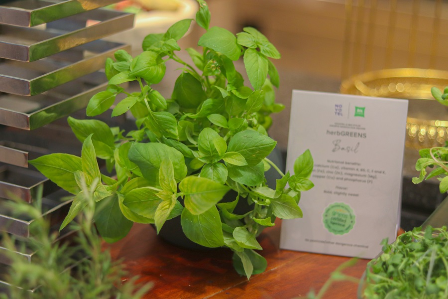 Novotel & ibis Styles Jakarta Mangga Dua Square 1