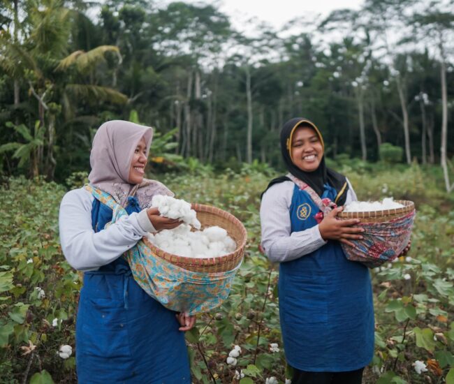 SukkhaCitta_KV_Mama Kapas_2-min