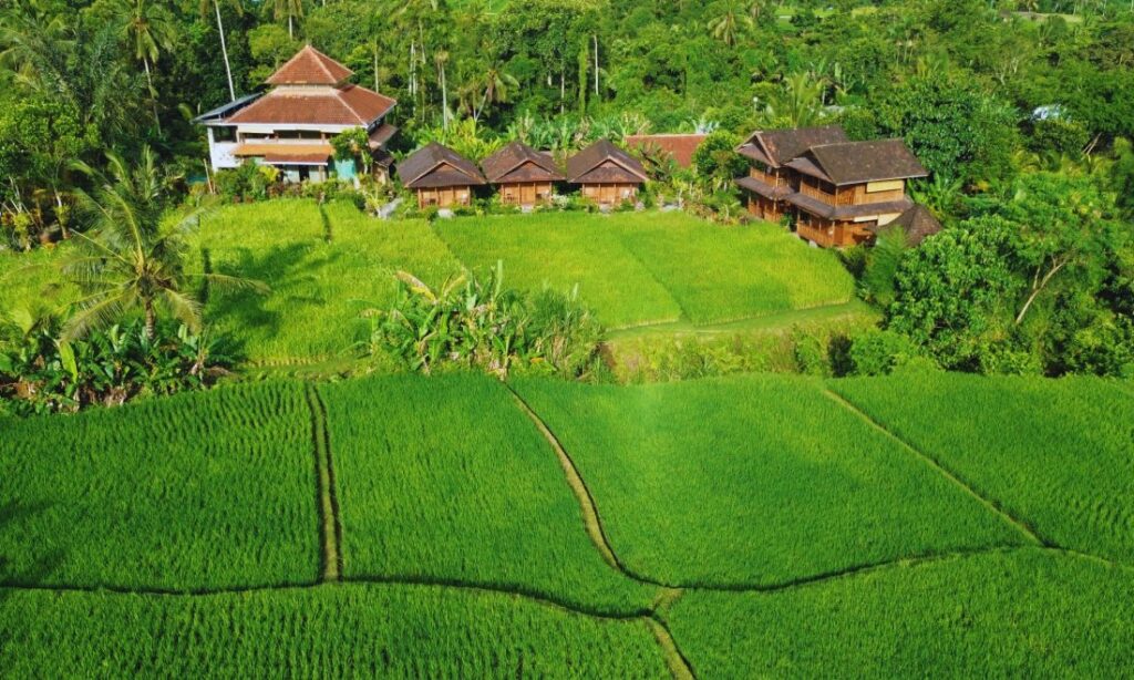 Imagine a weekend getaway in Bali – no phones, no computers, and no talking