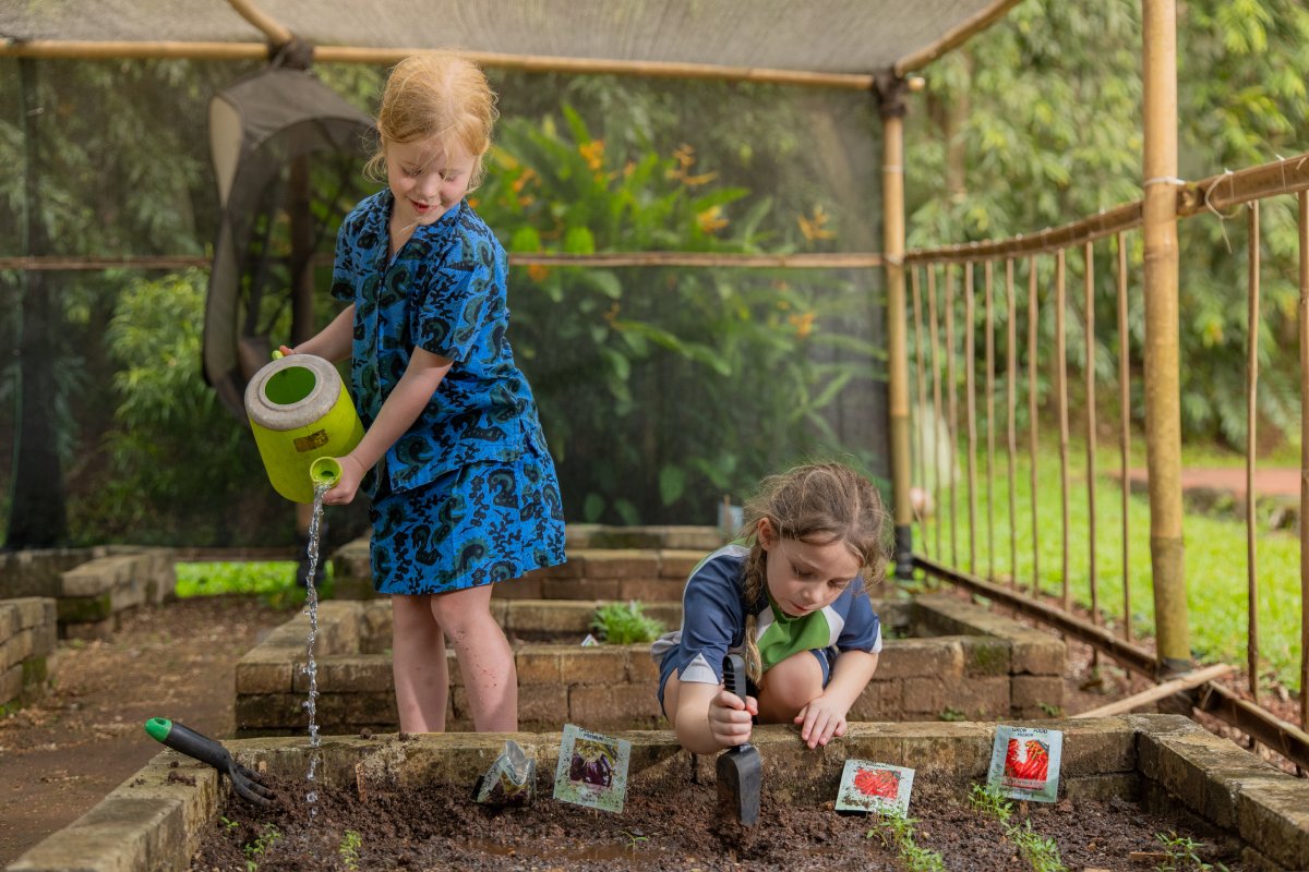 Prioritising Curiosity and Wellbeing at the Primary School Level